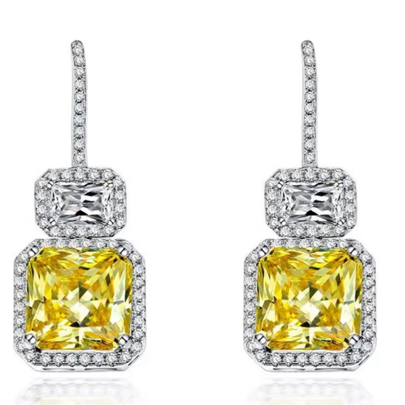 Stunning earrings